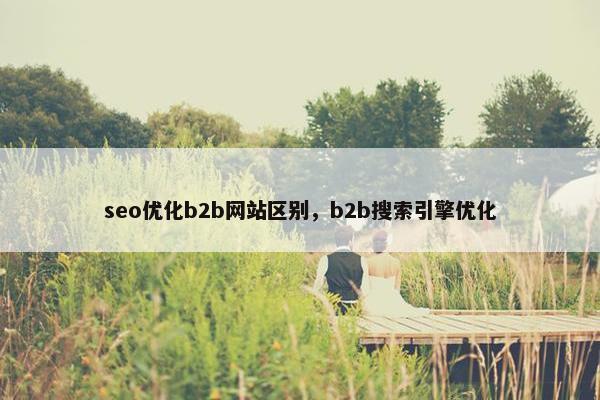 seo优化b2b网站区别，b2b搜索引擎优化
