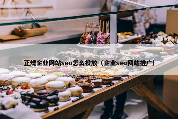 正规企业网站seo怎么投放（企业seo网站推广）