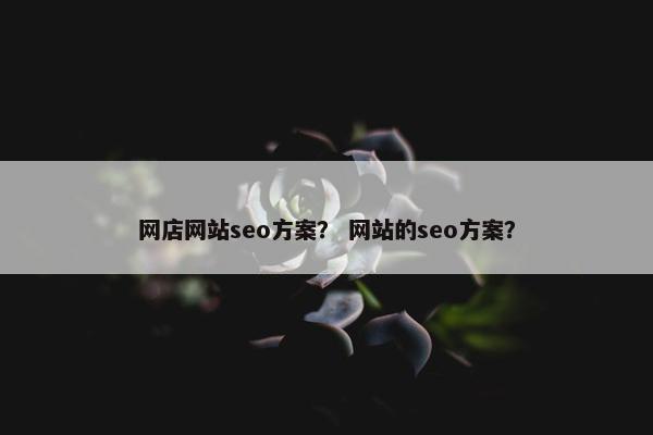 网店网站seo方案？ 网站的seo方案？