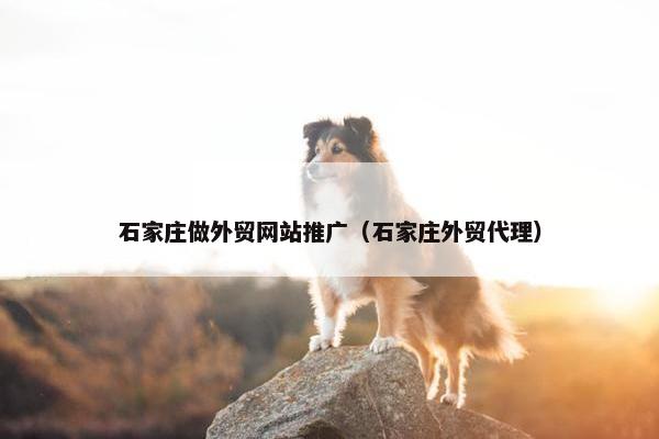 石家庄做外贸网站推广（石家庄外贸代理）