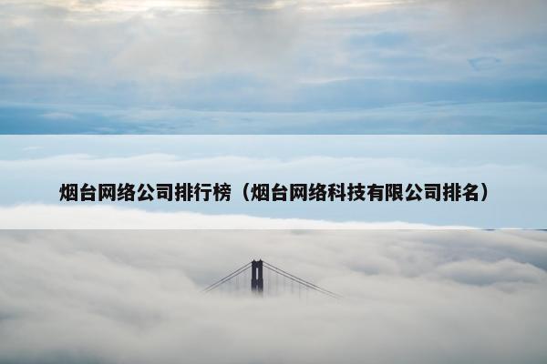 烟台网络公司排行榜（烟台网络科技有限公司排名）
