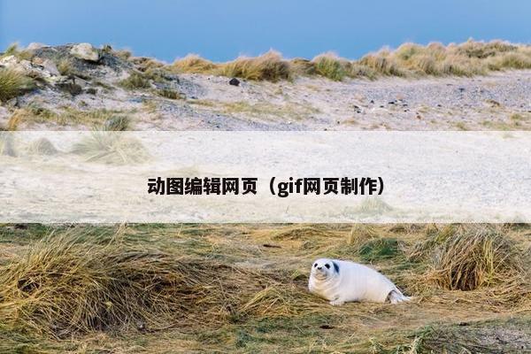 动图编辑网页（gif网页制作）
