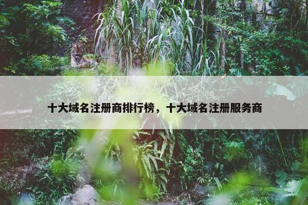 十大域名注册商排行榜，十大域名注册服务商