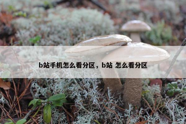 b站手机怎么看分区，b站 怎么看分区