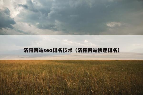 洛阳网站seo排名技术（洛阳网站快速排名）