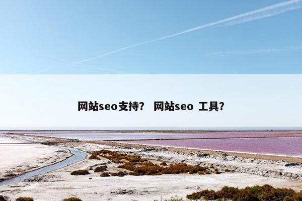 网站seo支持？ 网站seo 工具？