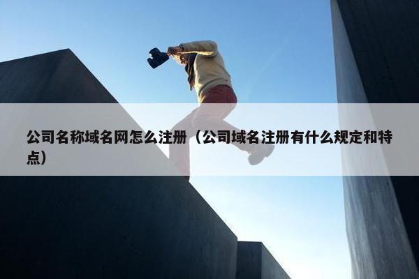 公司名称域名网怎么注册（公司域名注册有什么规定和特点）