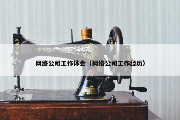 网络公司工作体会（网络公司工作经历）