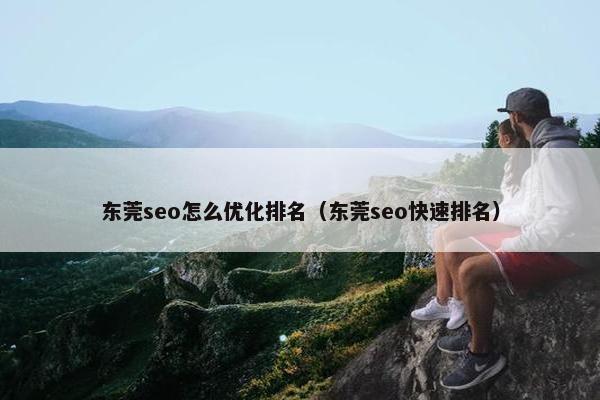 东莞seo怎么优化排名（东莞seo快速排名）