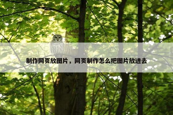 制作网页放图片，网页制作怎么把图片放进去
