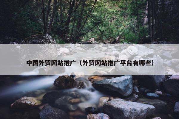 中国外贸网站推广（外贸网站推广平台有哪些）