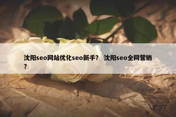 沈阳seo网站优化seo新手？ 沈阳seo全网营销？
