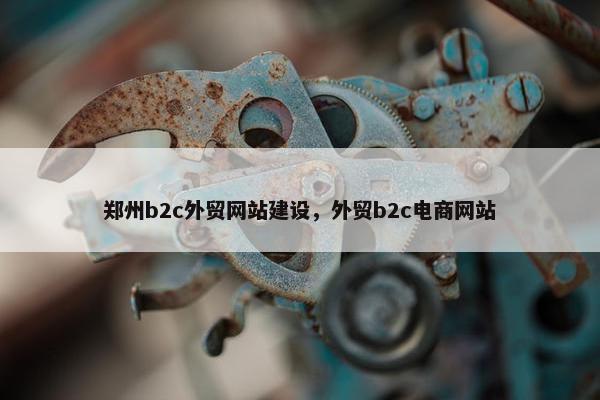 郑州b2c外贸网站建设，外贸b2c电商网站