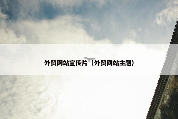 外贸网站宣传片（外贸网站主题）