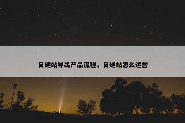 自建站导出产品流程，自建站怎么运营