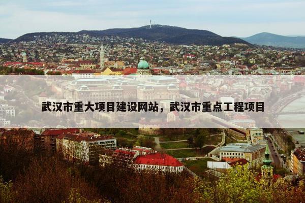 武汉市重大项目建设网站，武汉市重点工程项目
