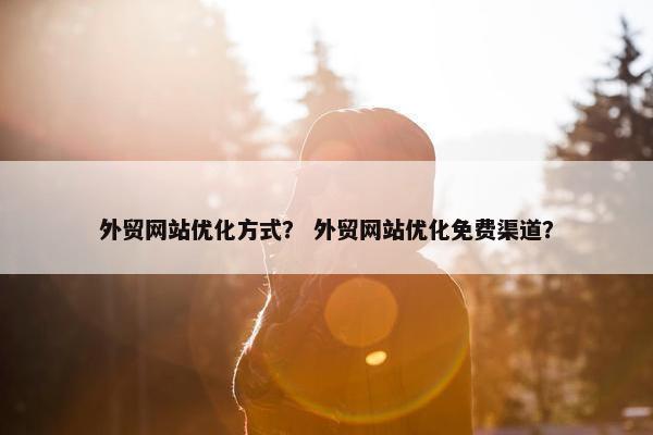 外贸网站优化方式？ 外贸网站优化免费渠道？