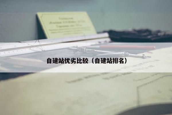 自建站优劣比较（自建站排名）
