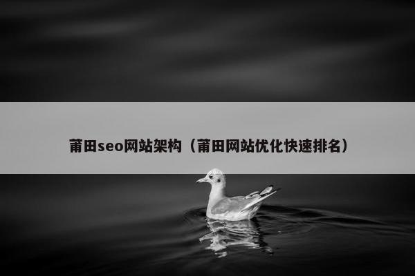 莆田seo网站架构（莆田网站优化快速排名）