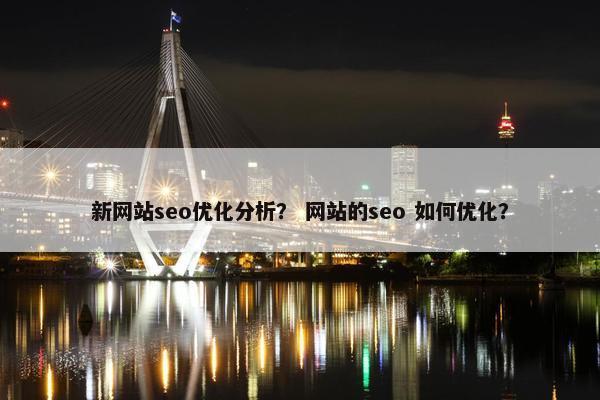 新网站seo优化分析？ 网站的seo 如何优化？