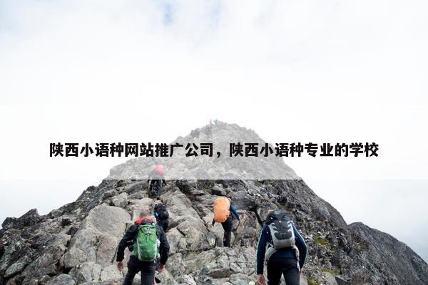 陕西小语种网站推广公司，陕西小语种专业的学校