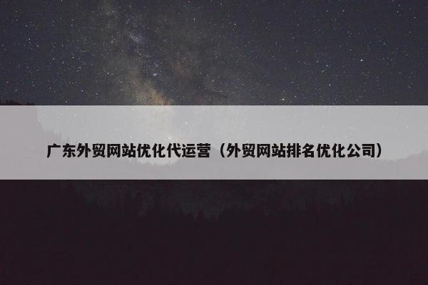 广东外贸网站优化代运营（外贸网站排名优化公司）