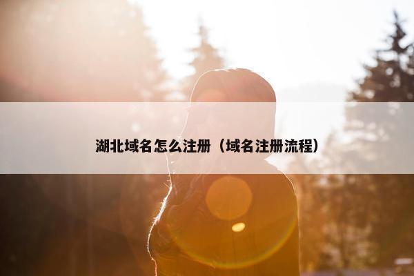 湖北域名怎么注册（域名注册流程）