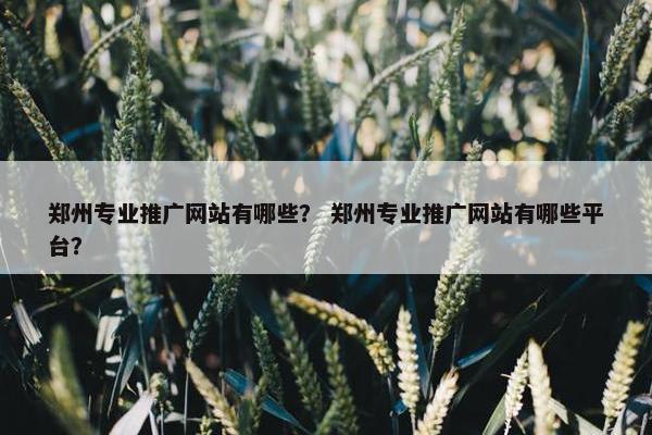郑州专业推广网站有哪些？ 郑州专业推广网站有哪些平台？