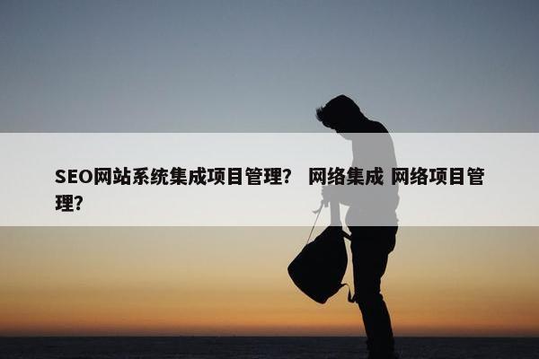 SEO网站系统集成项目管理？ 网络集成 网络项目管理？