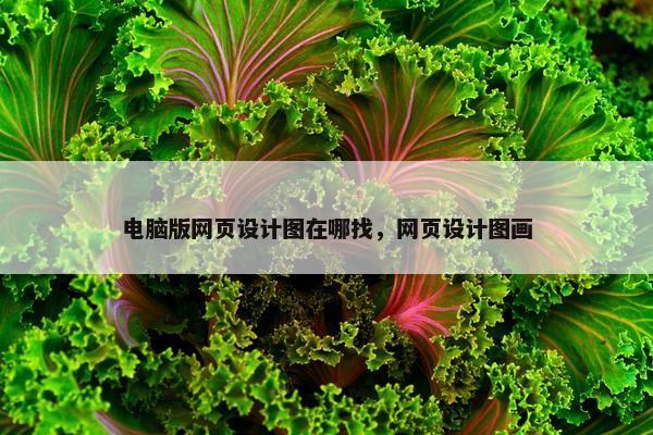 电脑版网页设计图在哪找，网页设计图画