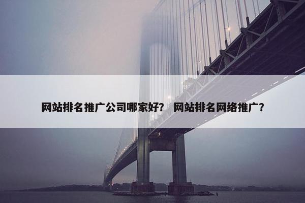 网站排名推广公司哪家好？ 网站排名网络推广？