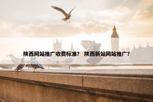 陕西网站推广收费标准？ 陕西新站网站推广？