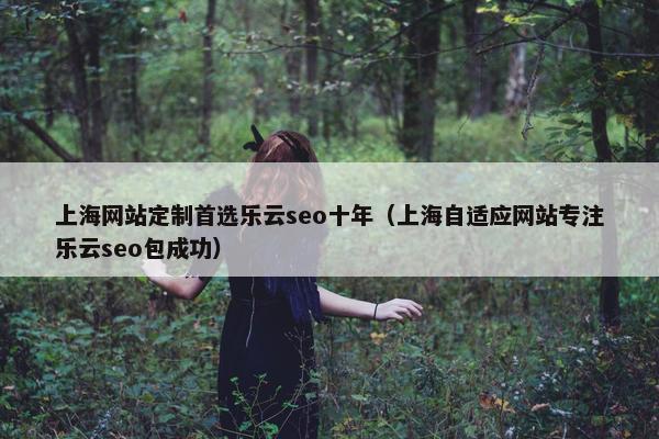 上海网站定制首选乐云seo十年（上海自适应网站专注乐云seo包成功）