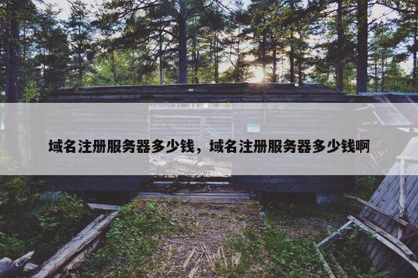 域名注册服务器多少钱，域名注册服务器多少钱啊