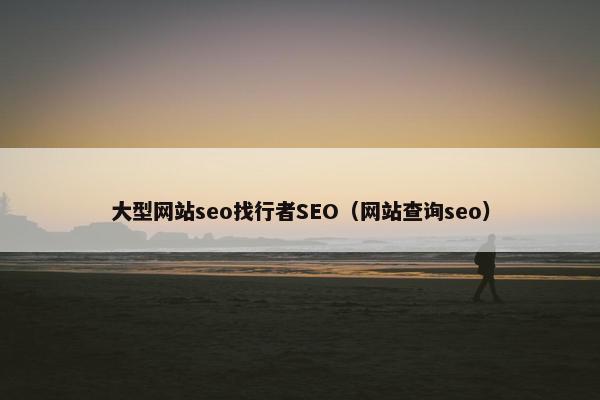 大型网站seo找行者SEO（网站查询seo）