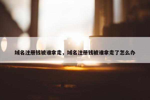 域名注册钱被谁拿走，域名注册钱被谁拿走了怎么办