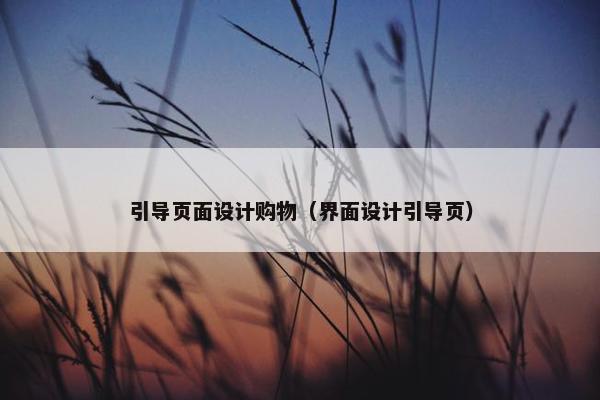 引导页面设计购物（界面设计引导页）