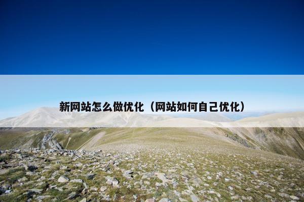新网站怎么做优化（网站如何自己优化）