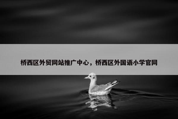 桥西区外贸网站推广中心，桥西区外国语小学官网