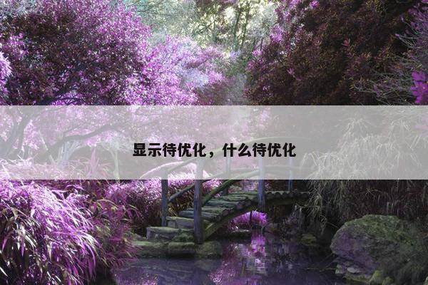 显示待优化，什么待优化