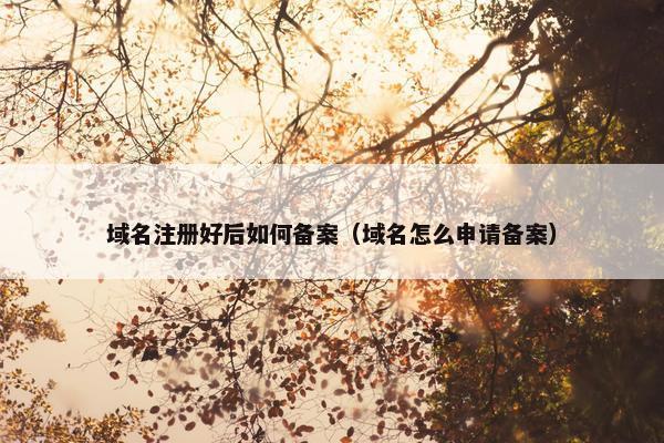 域名注册好后如何备案（域名怎么申请备案）