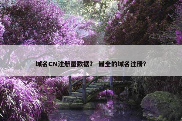 域名CN注册量数据？ 最全的域名注册？