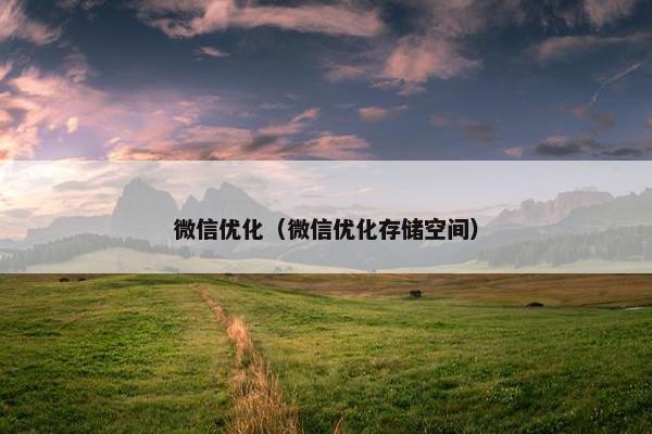 微信优化（微信优化存储空间）