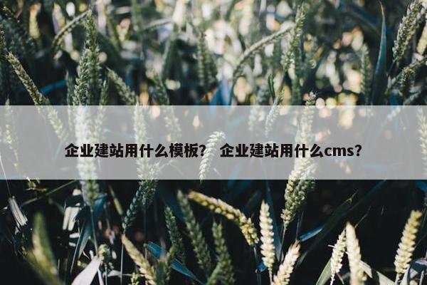 企业建站用什么模板？ 企业建站用什么cms？