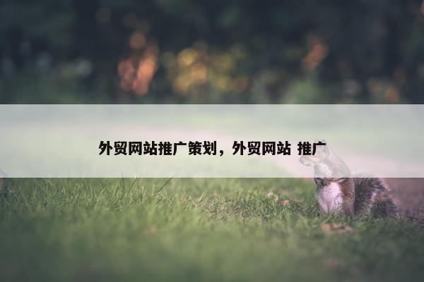 外贸网站推广策划，外贸网站 推广