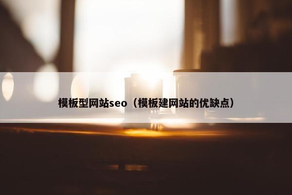 模板型网站seo（模板建网站的优缺点）