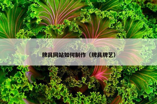牌具网站如何制作（牌具牌艺）