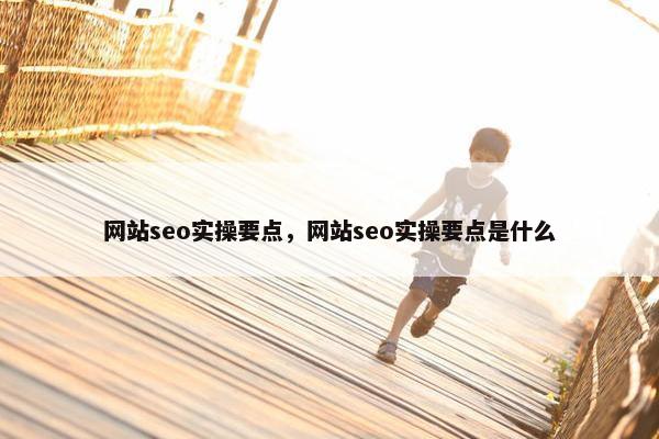 网站seo实操要点，网站seo实操要点是什么