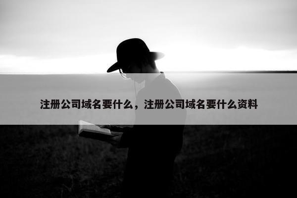 注册公司域名要什么，注册公司域名要什么资料