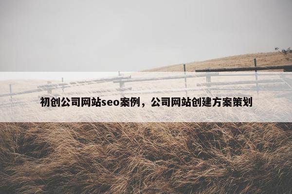 初创公司网站seo案例，公司网站创建方案策划